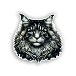 Maine Coon Cat  Sticker (Peel N' Stick)